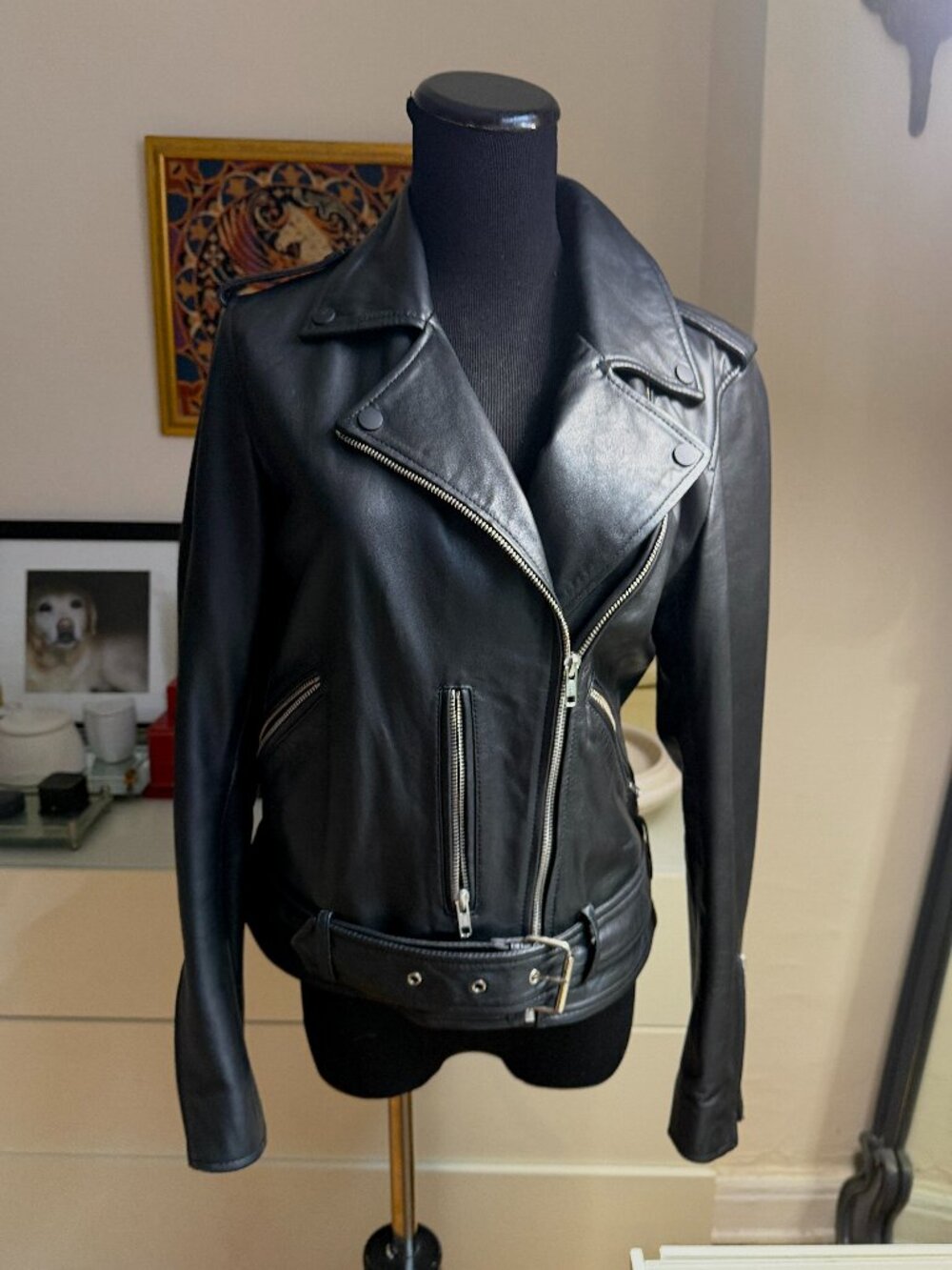 Quince Bomber Biker Leather Jacket